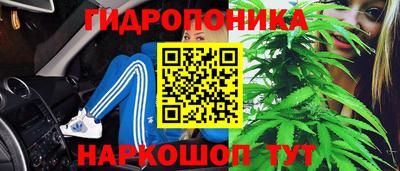 мдпв Ижевск