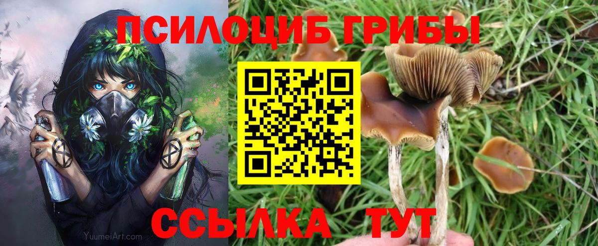 Жигулёвск  Псилоцибиновые грибы GOLDEN TEACHER  Вход с VPN 